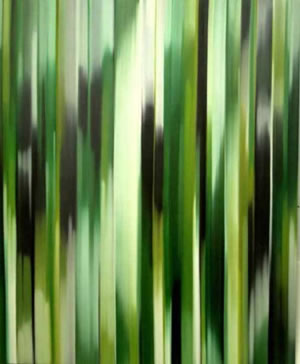 Julian Jackson