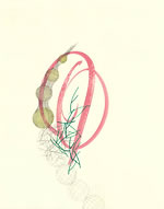 Untitled A - watercolor